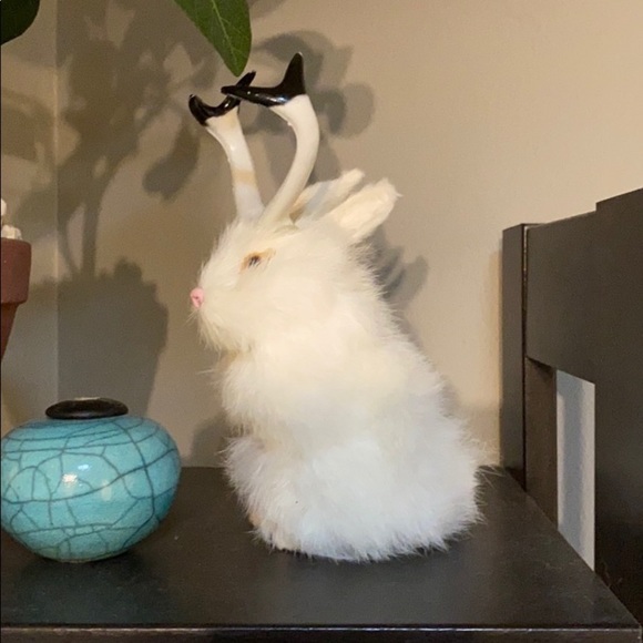 Rabbit fur Jackalope. - Picture 2 of 5